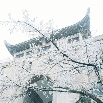 美国华人聚居城市圣盖博举办首届“圣盖博文化节”